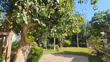 Villa for Sale in Al Qurum